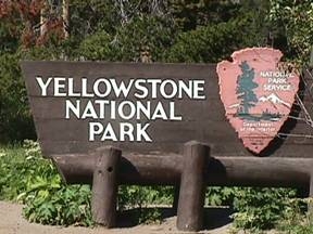 Riapertura delle entrate sud ed est di Yellowstone National Park
